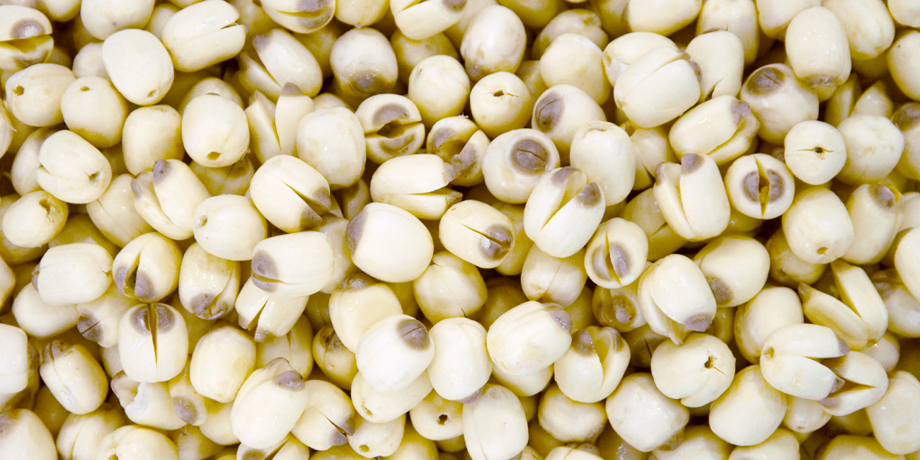 HẠT SEN TƯƠI -THÁP MƯỜI (200G)